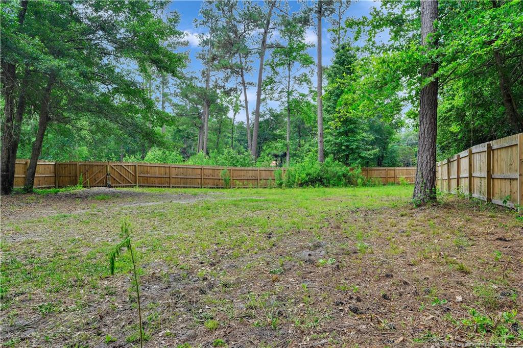 8155 Arabia Road Lumber Bridge, NC 28357 - Photo 29 of 30 a view of backyard with green space