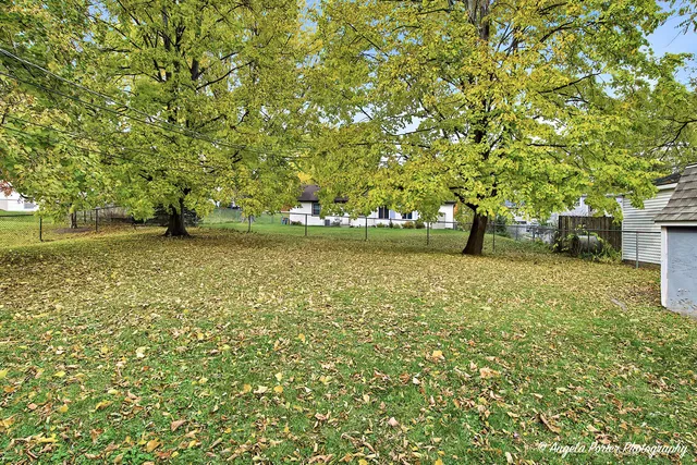 a view of yard with trees