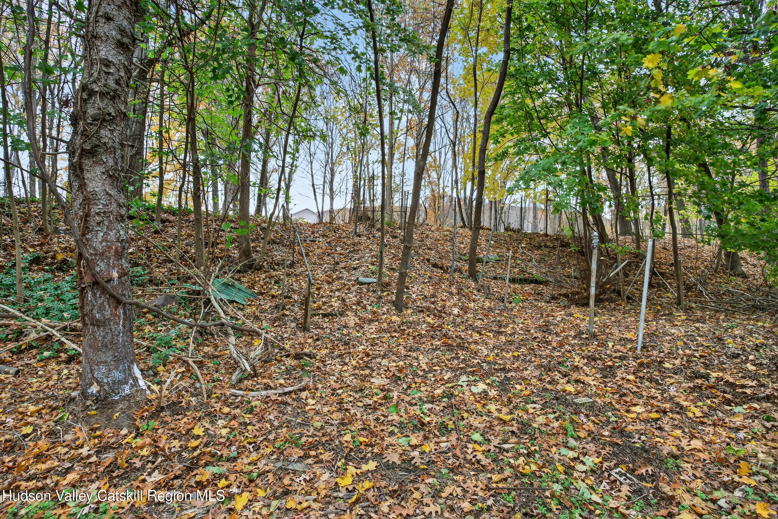 41 New Paltz Road Highland, NY 12528 - Photo 32 of 42 a backyard of a house with lots of plants and large trees