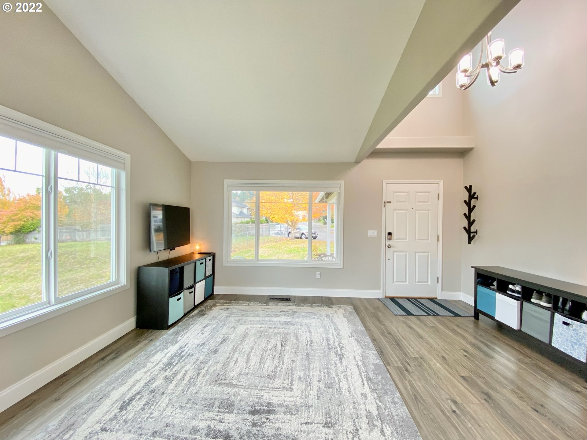 Living Room/Entrance