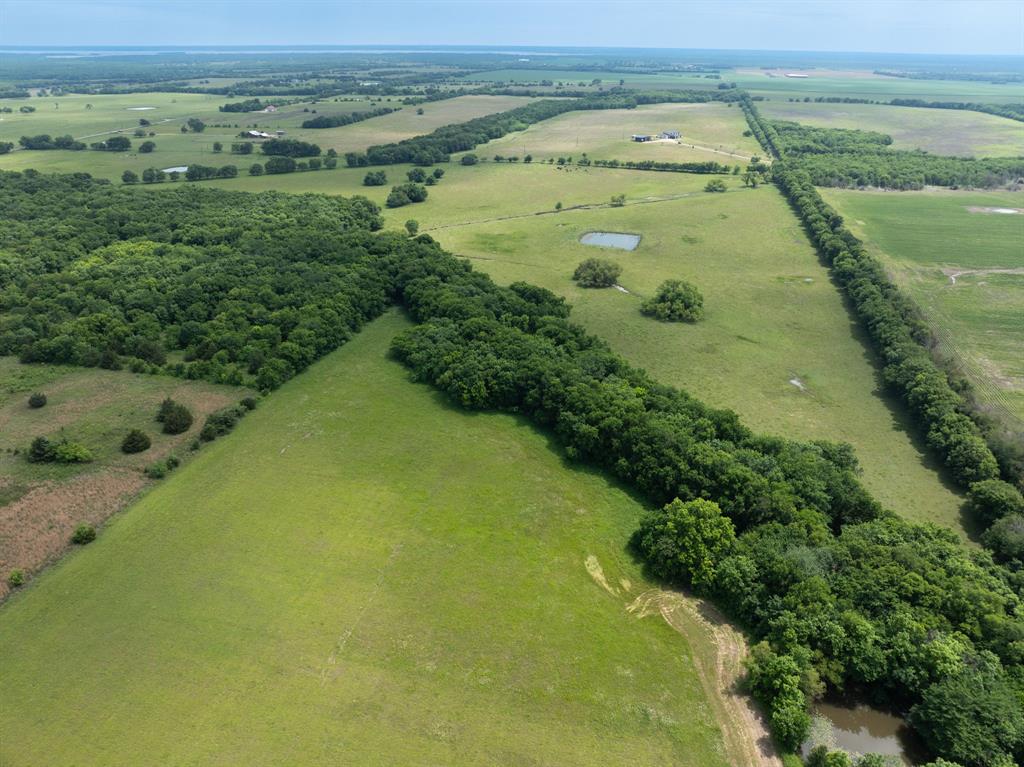 2396 County Road 2145 Cooper, TX 75432 - Photo 28 of 37 Expansive green pastures featuring mature tree lines and multiple water features