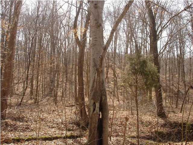 2141 Collins Hill Road Lebanon Junction, KY 40150 - Photo 5 of 7 Additional Photo