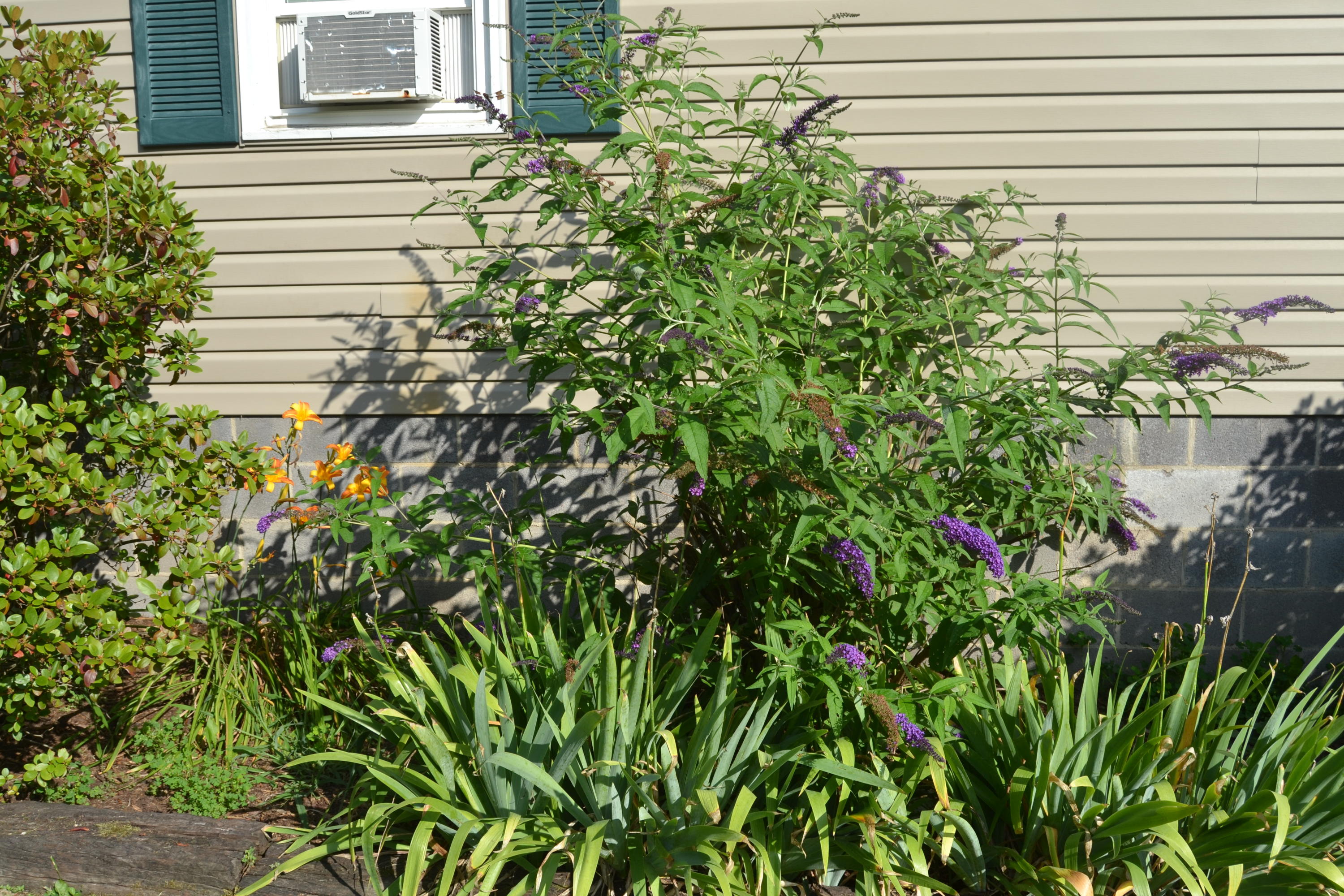 280 Sinking Creek Road Crawley, WV 24931 - Photo 62 of 62 Gallery Image 62