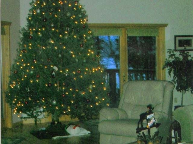 2071 Hazy Bay Road Tomahawk, WI 54487 - Photo 10 of 18 Gallery Image 10
