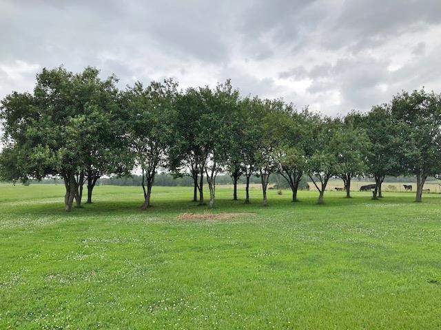 4074 Shady Grove Road Morrison, TN 37357 - Photo 29 of 29 a view of a trees in a park