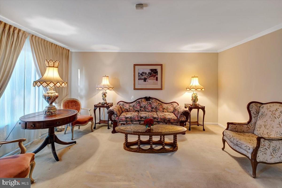 3854 Terka Circle Randallstown, MD 21133 - Photo 4 of 19 a living room with furniture