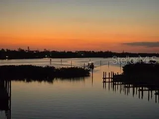 a view of a beach with a plant