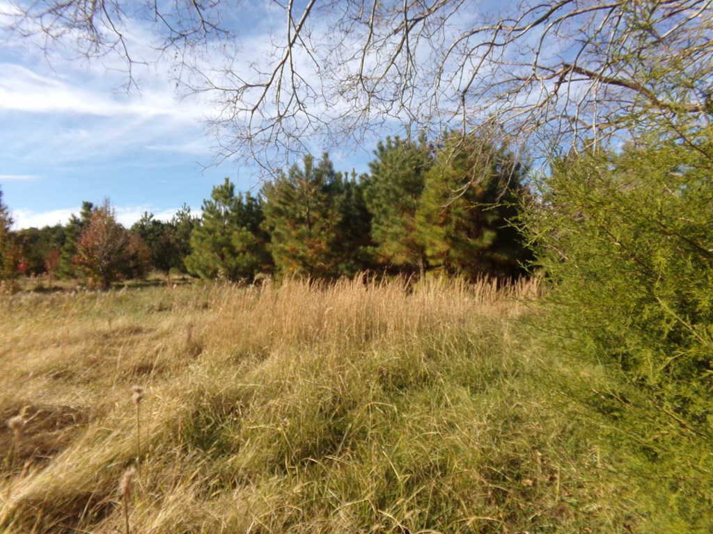 0 Old Neck Road, Unit O Exmore, VA 23350 - Photo 4 of 9