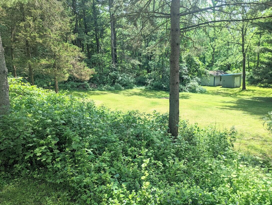 3948 Watkins Road Battle Creek, MI 49015 - Photo 34 of 39 PXL_20220601_192543718