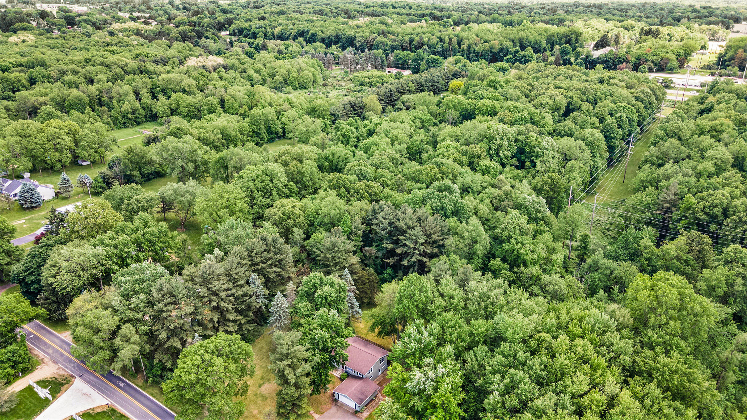 3948 Watkins Road Battle Creek, MI 49015 - Photo 38 of 39 DJI_0775
