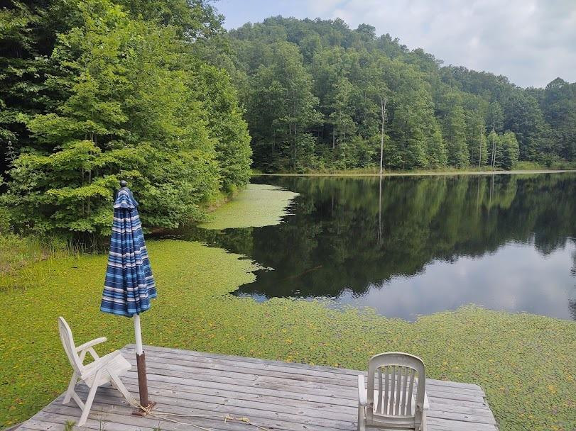 1200 Clearfork Road Morehead, KY 40351 - Photo 73 of 86 Photo 73
