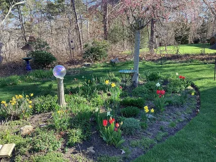 a view of a park with large trees