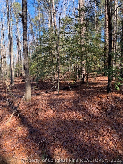 Tbd McPherson Road Sanford, NC 27330 - Photo 2 of 4 a backyard of a house with lots of green space