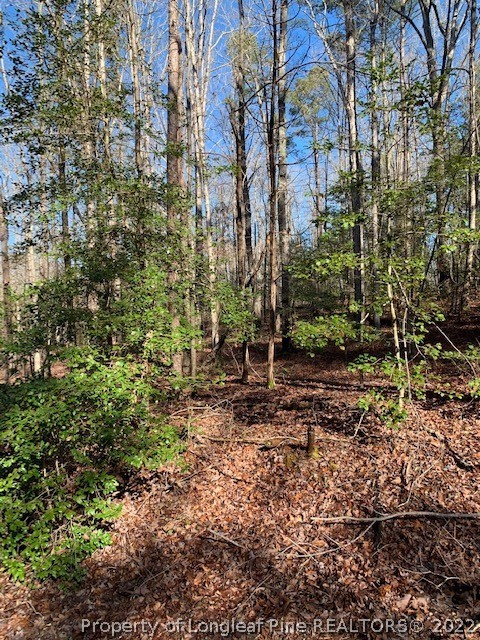 Tbd McPherson Road Sanford, NC 27330 - Photo 3 of 4 a view of a yard with plants and trees