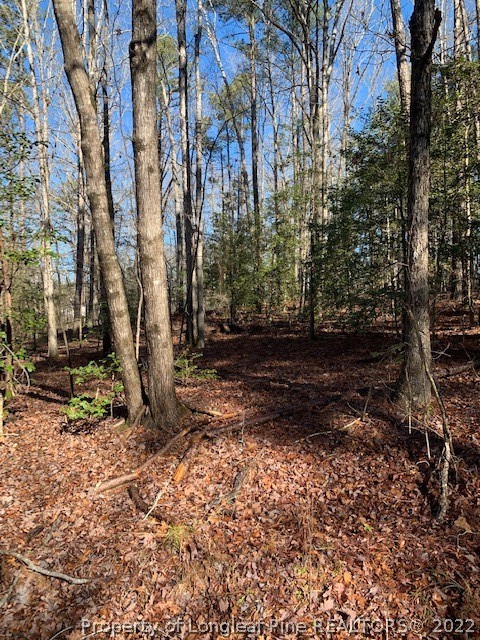 Tbd McPherson Road Sanford, NC 27330 - Photo 4 of 4 a view of a yard with trees