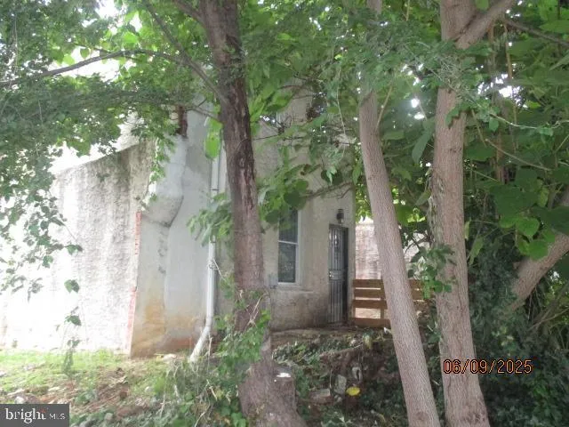 a view of a plants in front of a house