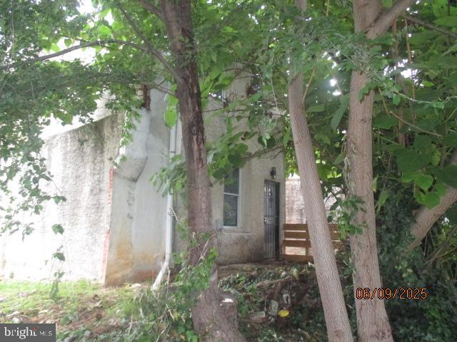 1142 West Nevada Street Philadelphia, PA 19133 - Photo 6 of 16 a view of a plants in front of a house