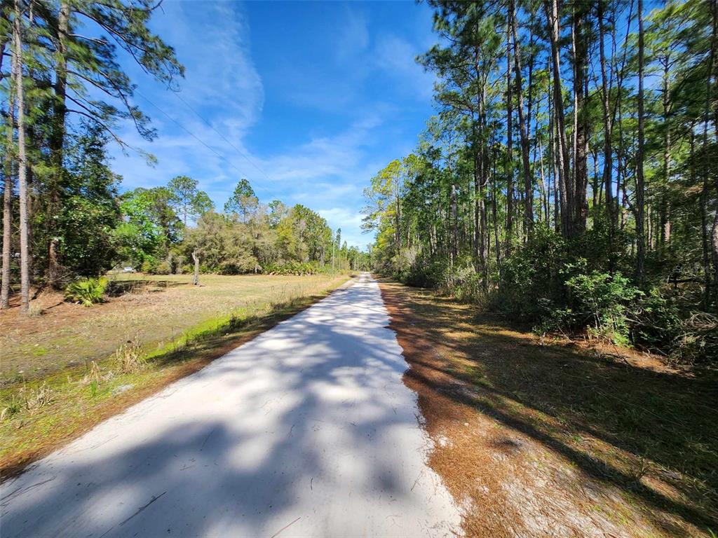 114 Mosswood Street Georgetown, FL 32139 - Photo 2 of 6