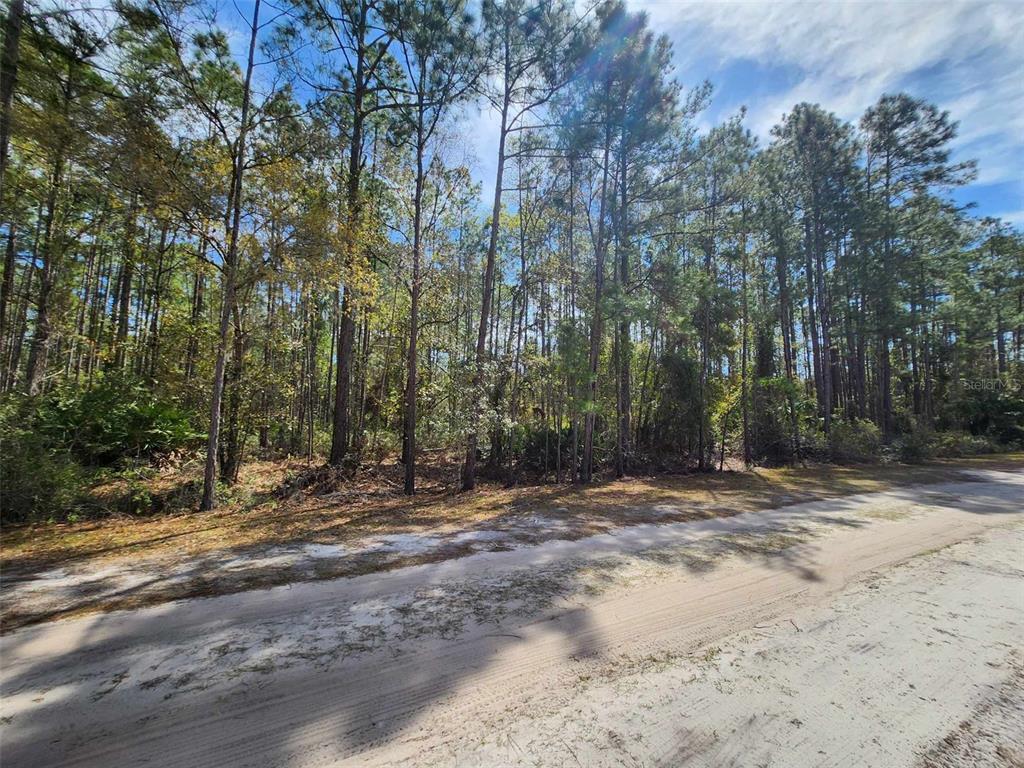 114 Mosswood Street Georgetown, FL 32139 - Photo 4 of 6