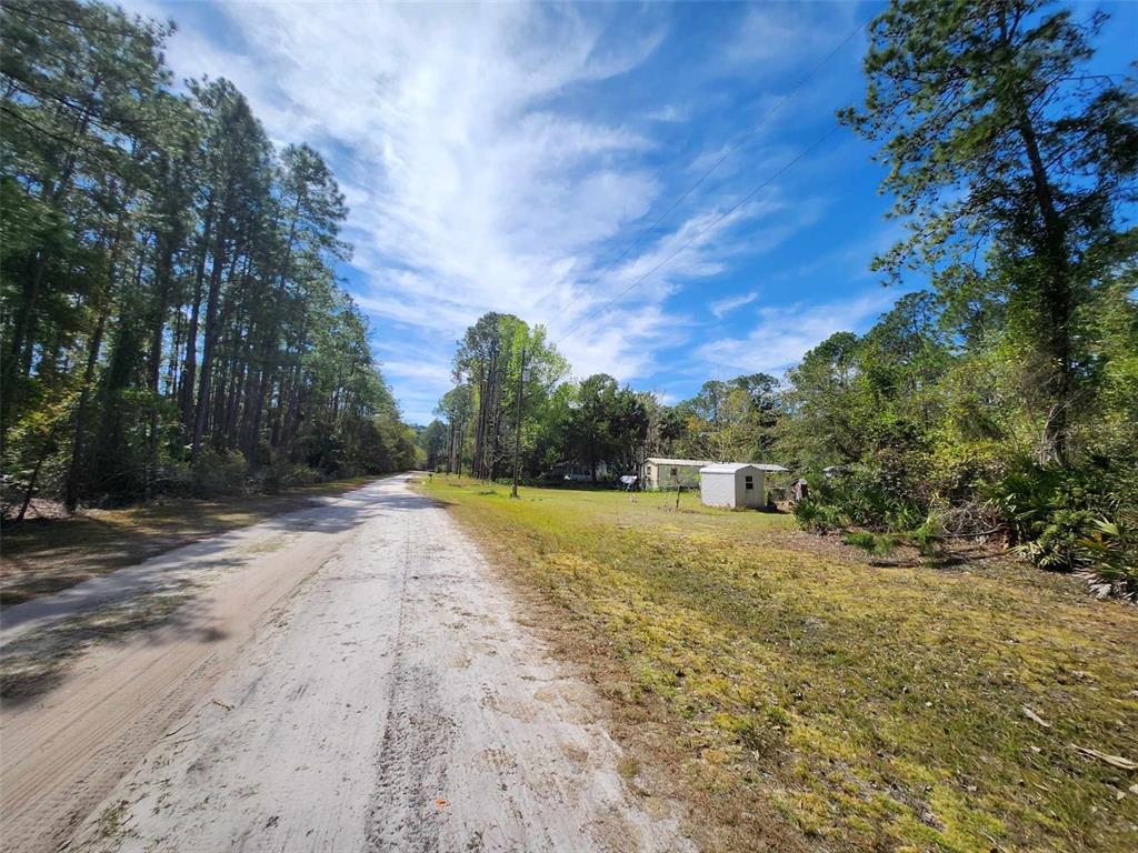 114 Mosswood Street Georgetown, FL 32139 - Photo 5 of 6