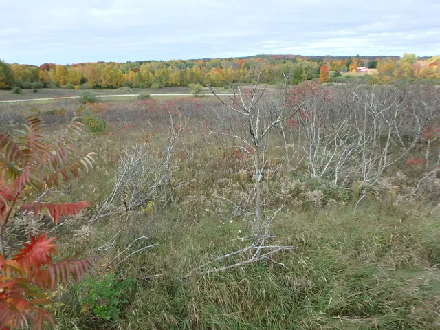 $15,000 | 18155 Summer Set Court, Shelby, MI 49455