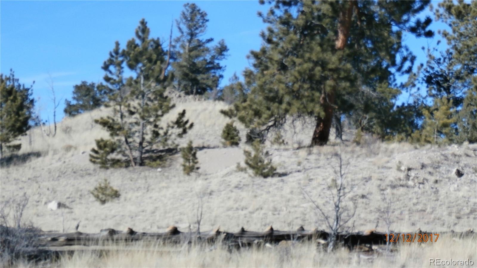 195 Saddle Horn Road Hartsel, CO 80449 - Photo 1 of 1 Gallery Image 1
