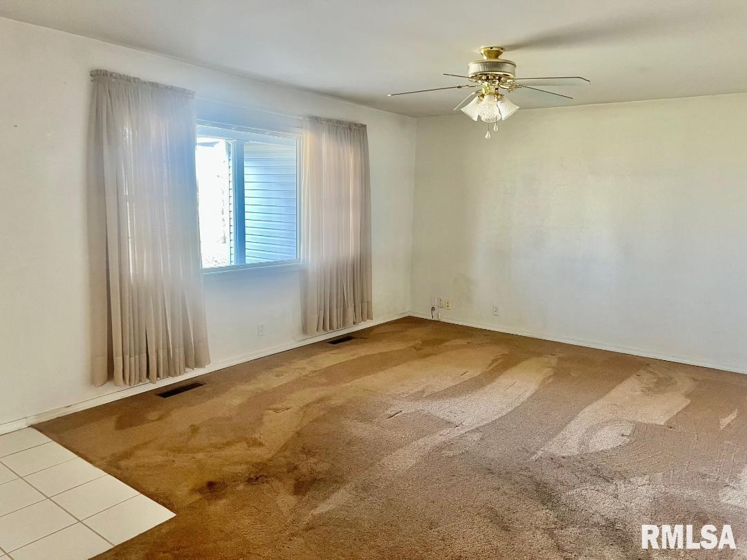 920 Red Stripe Road Sandoval, IL 62882 - Photo 8 of 21