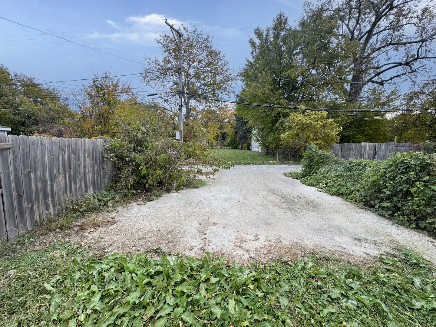 6227 South May Street Chicago, IL 60621 - Photo 13 of 13 a view of a yard with plants and trees