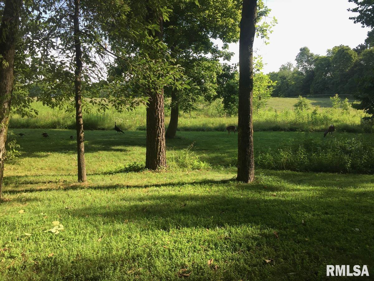 121 Pump House Road Murphysboro, IL 62966 - Photo 23 of 43 Gallery Image 23