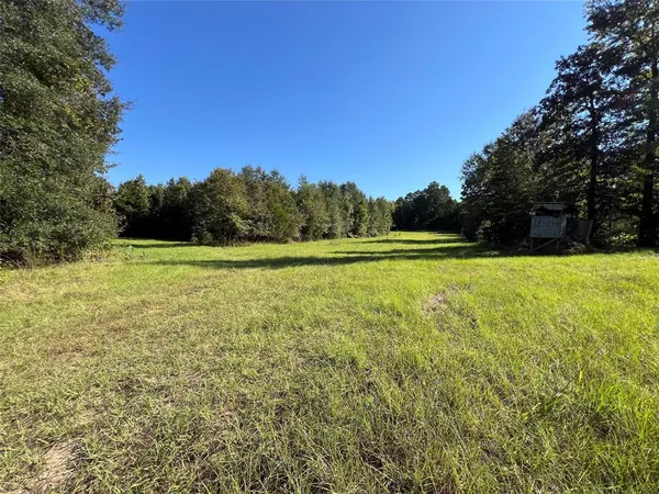 a view of a field with an ocean space