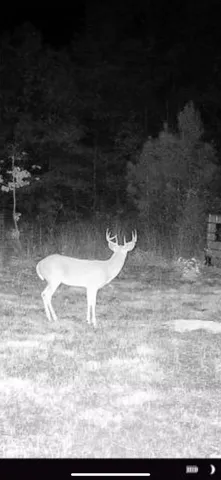 $249,900 | 1579 Avinger Tx 75630, Avinger, TX 75630