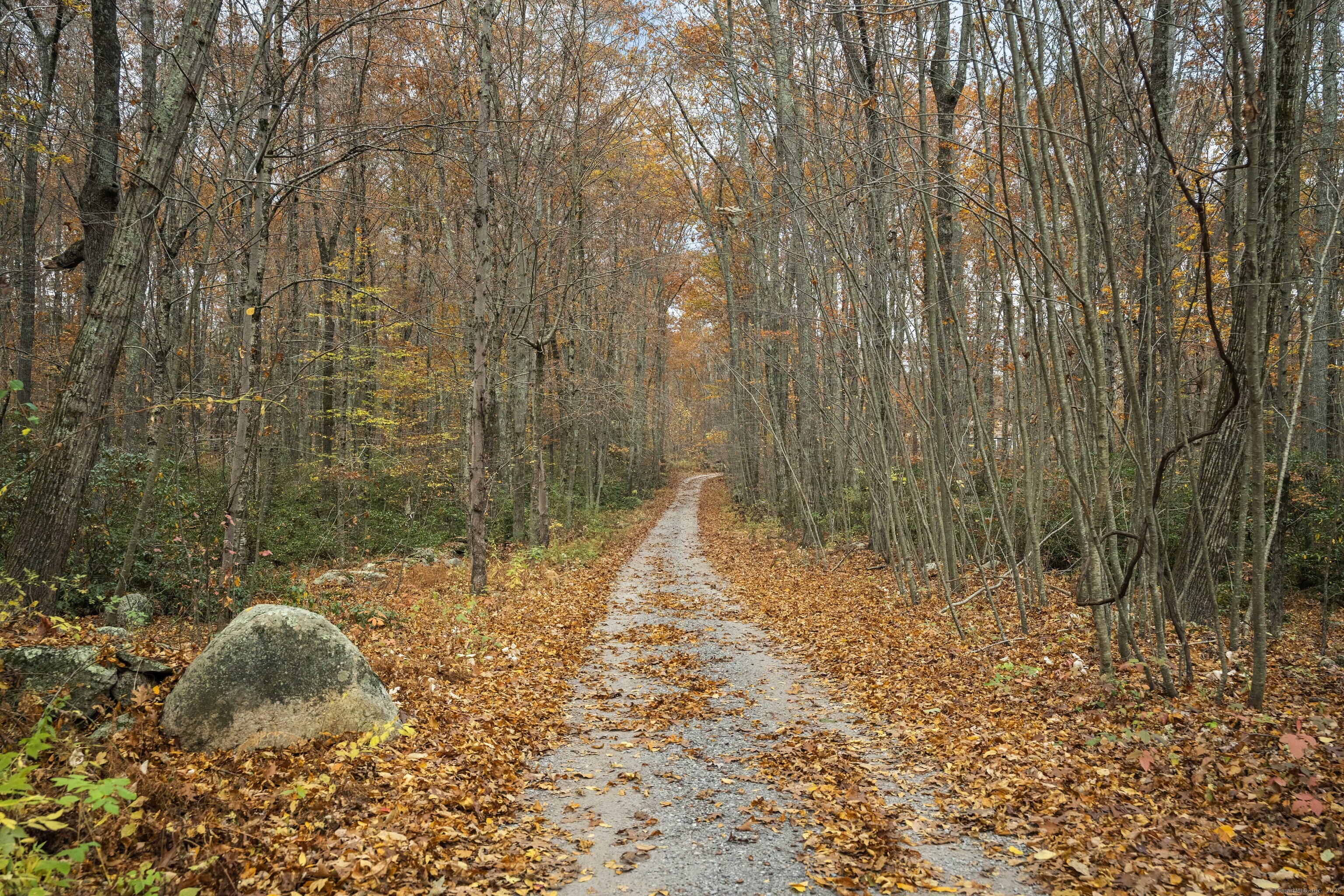 101 Center Road Woodstock, CT 06281 - Photo 2 of 40