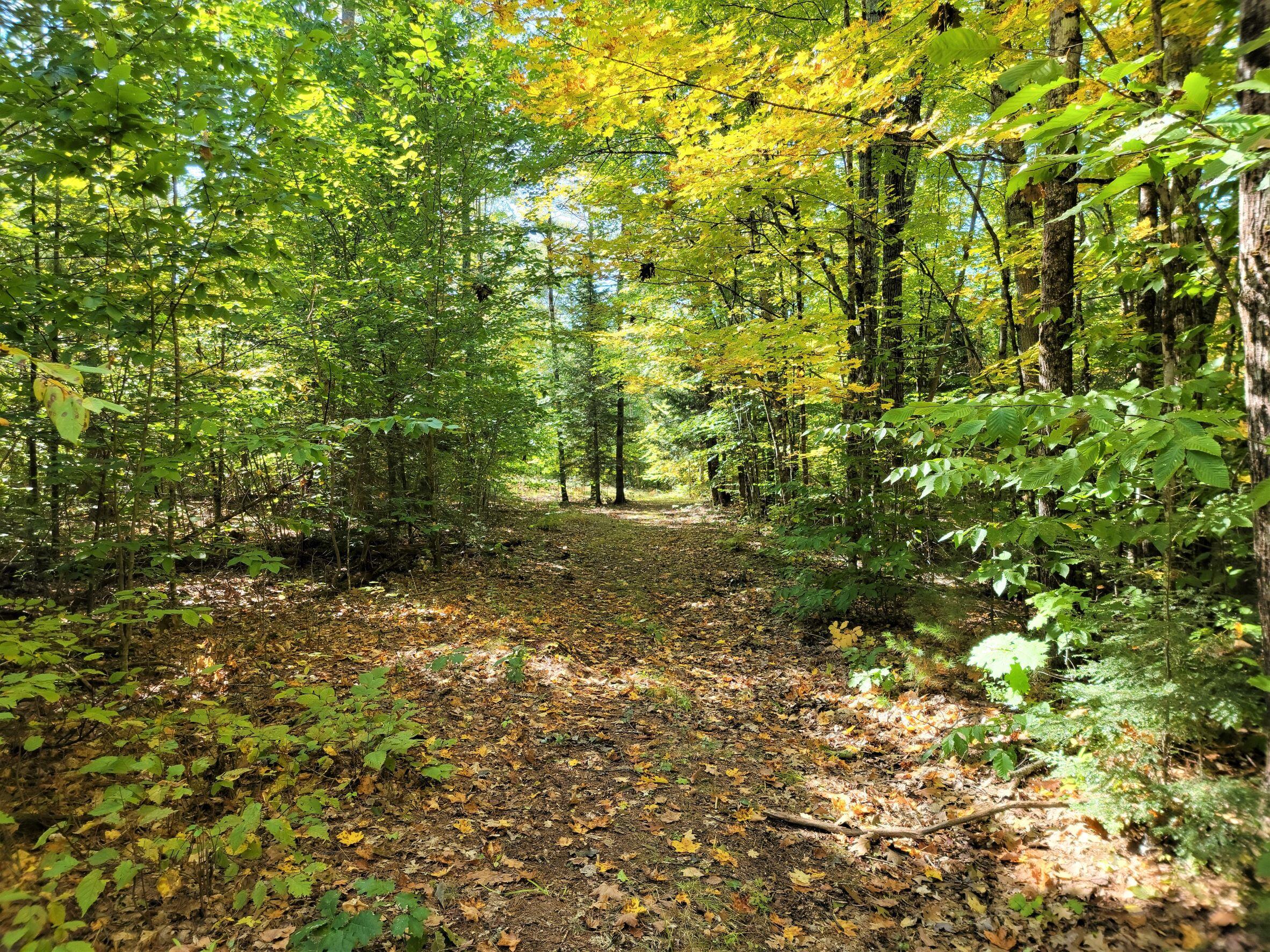 669 Old Greene Road Lewiston, ME 04240 - Photo 20 of 32 Trails