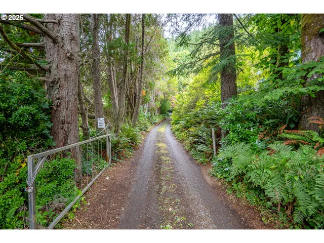 a view of a pathway with a park