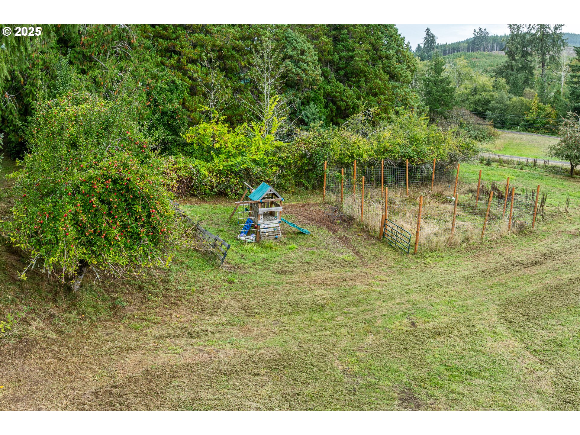 29 Neal Loop Toledo, OR 97391 - Photo 35 of 45 a backyard of a house with lots of green space