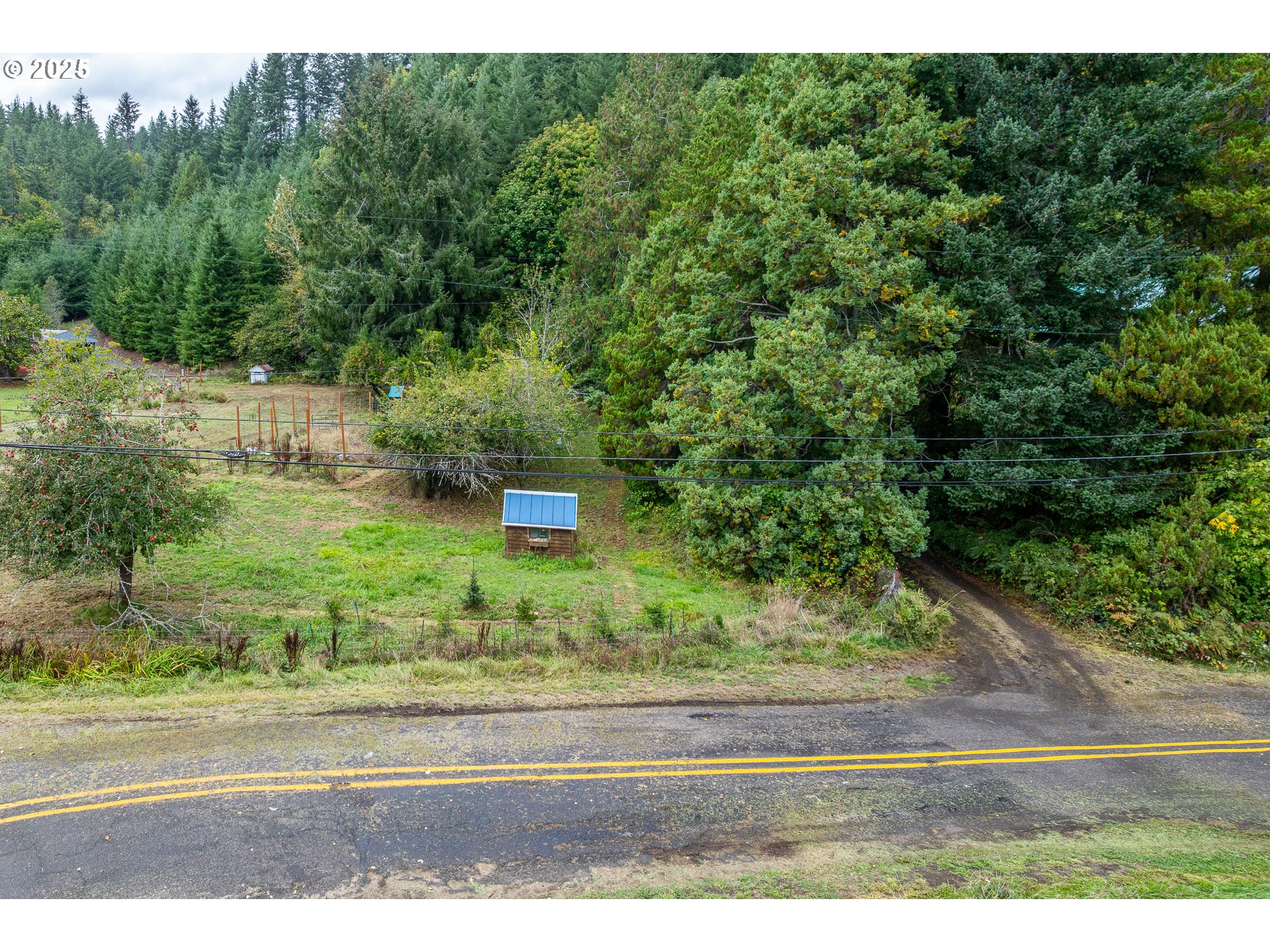 29 Neal Loop Toledo, OR 97391 - Photo 39 of 45 a view of a yard with a barn