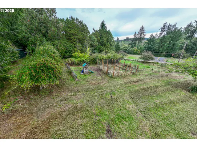 a green field with trees in the background