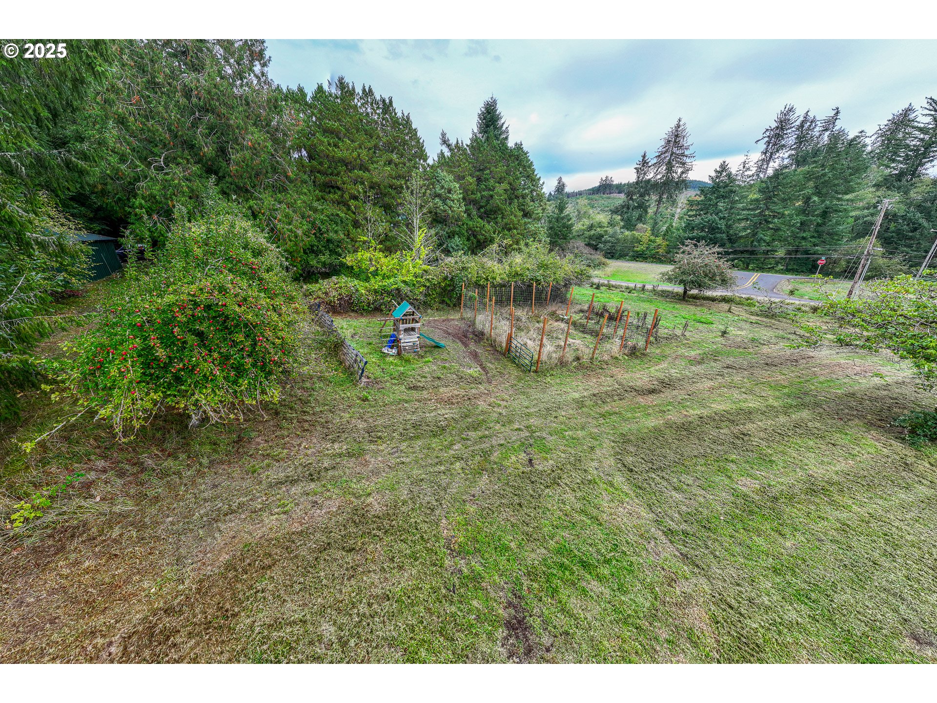 29 Neal Loop Toledo, OR 97391 - Photo 40 of 45 a view of a lush green space