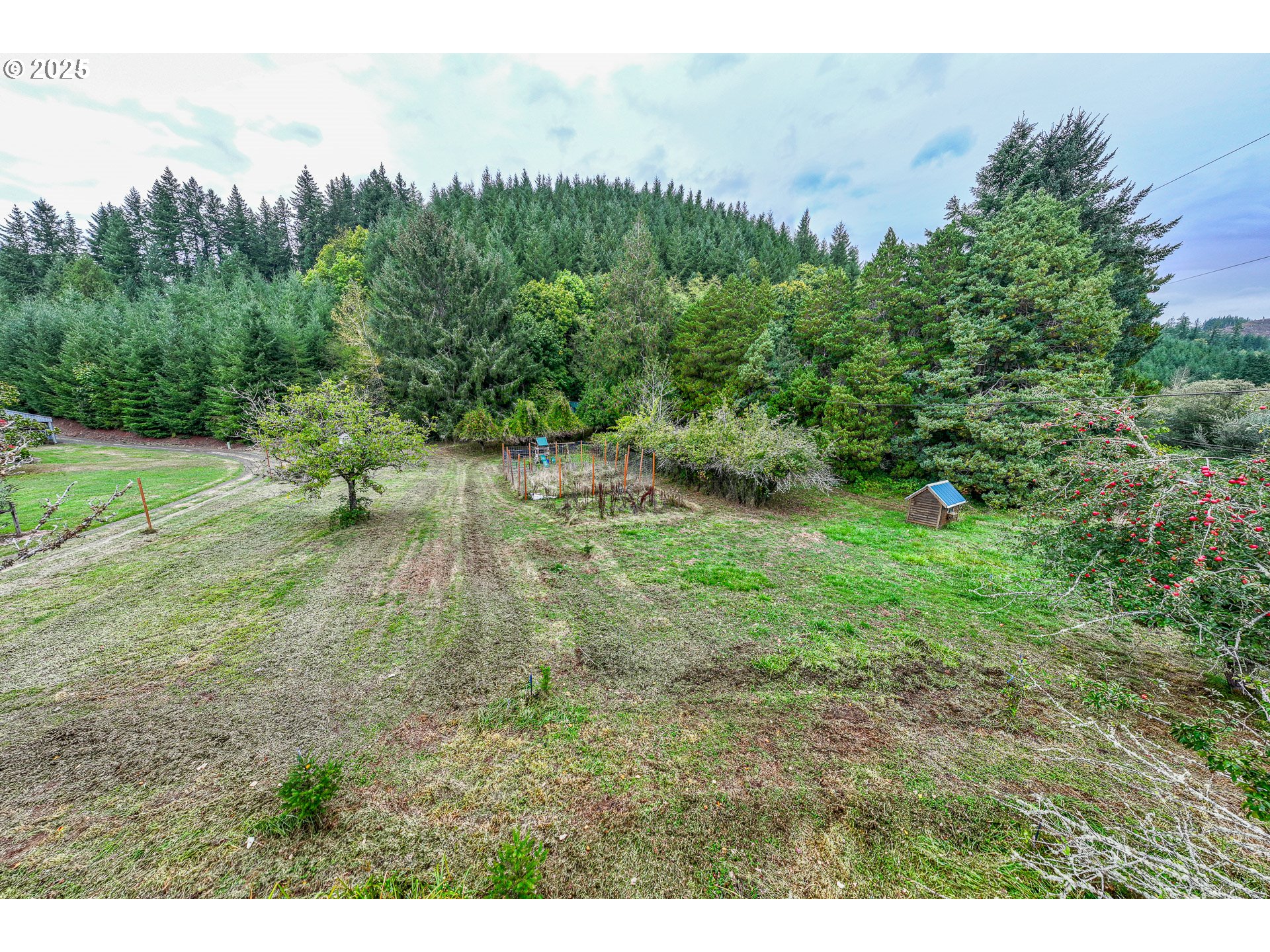 29 Neal Loop Toledo, OR 97391 - Photo 41 of 45 a view of a lush green space