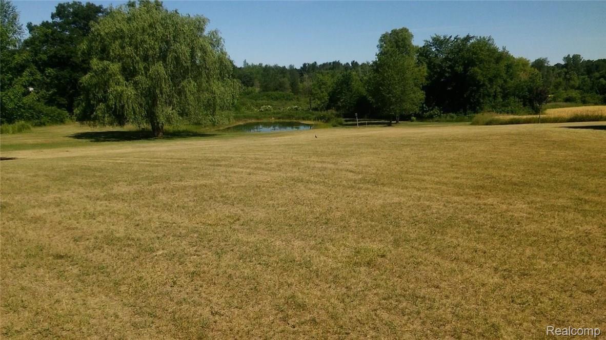 19028 Williamsville Road Gregory, MI 48137 - Photo 27 of 37 pond long range.jpg