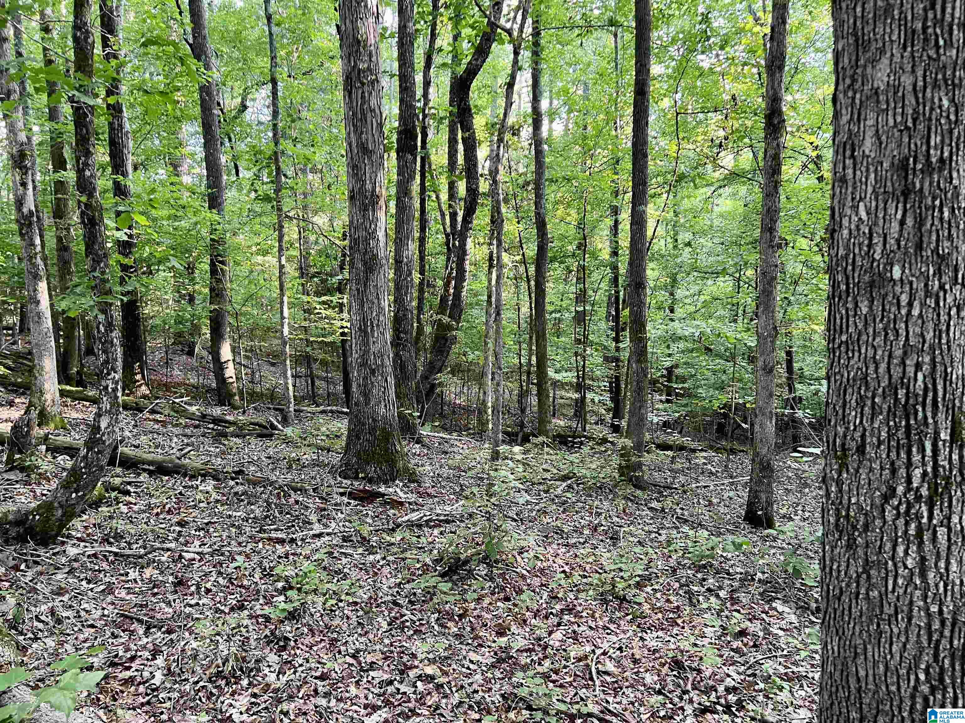 1515 Kelly Ranch Road, Unit 138 ACRES / Talladega, AL 35160 - Photo 27 of 42