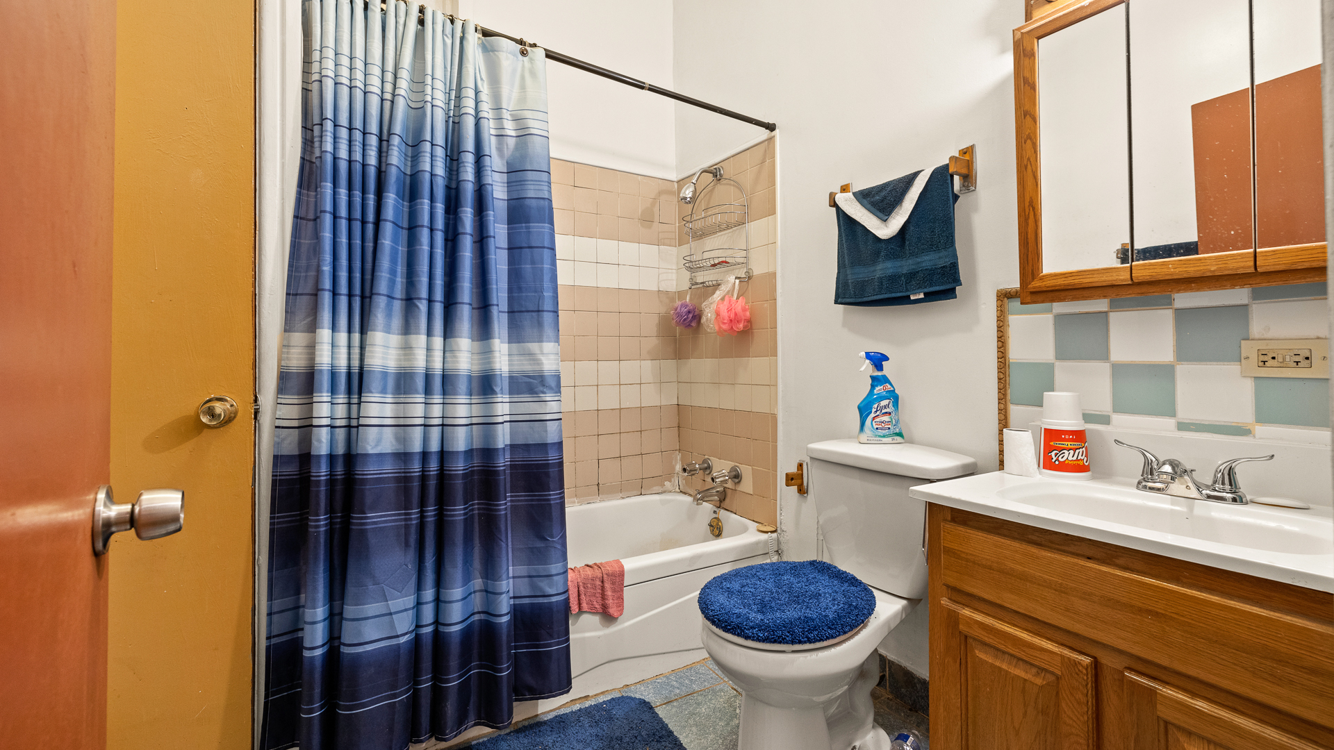352 West 118th Street Chicago, IL 60628 - Photo 28 of 49