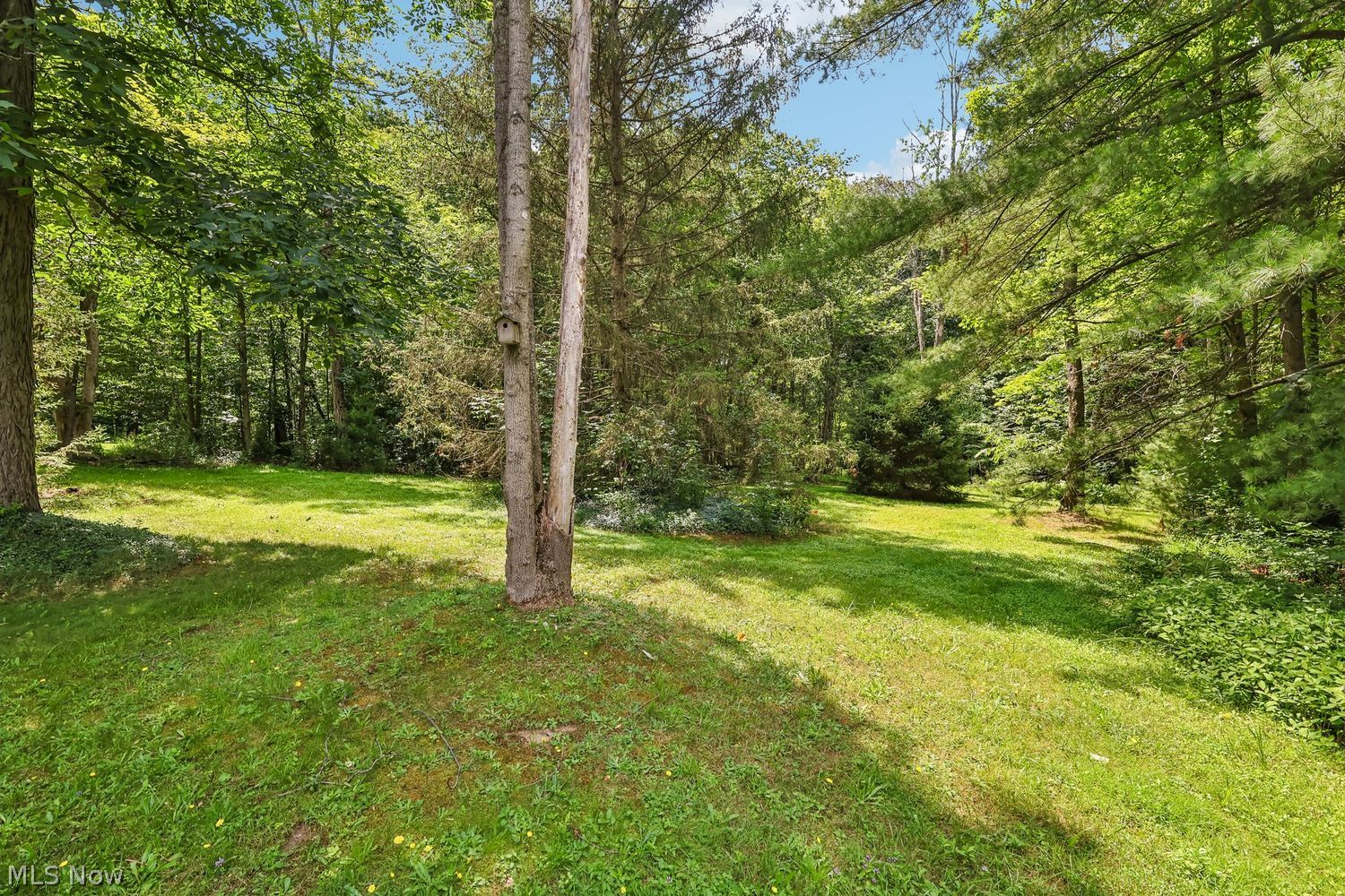 8355 Cedar Road Chesterland, OH 44026 - Photo 44 of 44