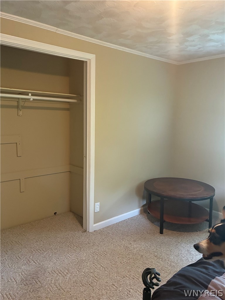 3979 Ridge Lea Drive Newfane, NY 14094 - Photo 27 of 50 DOUBLE CLOSET