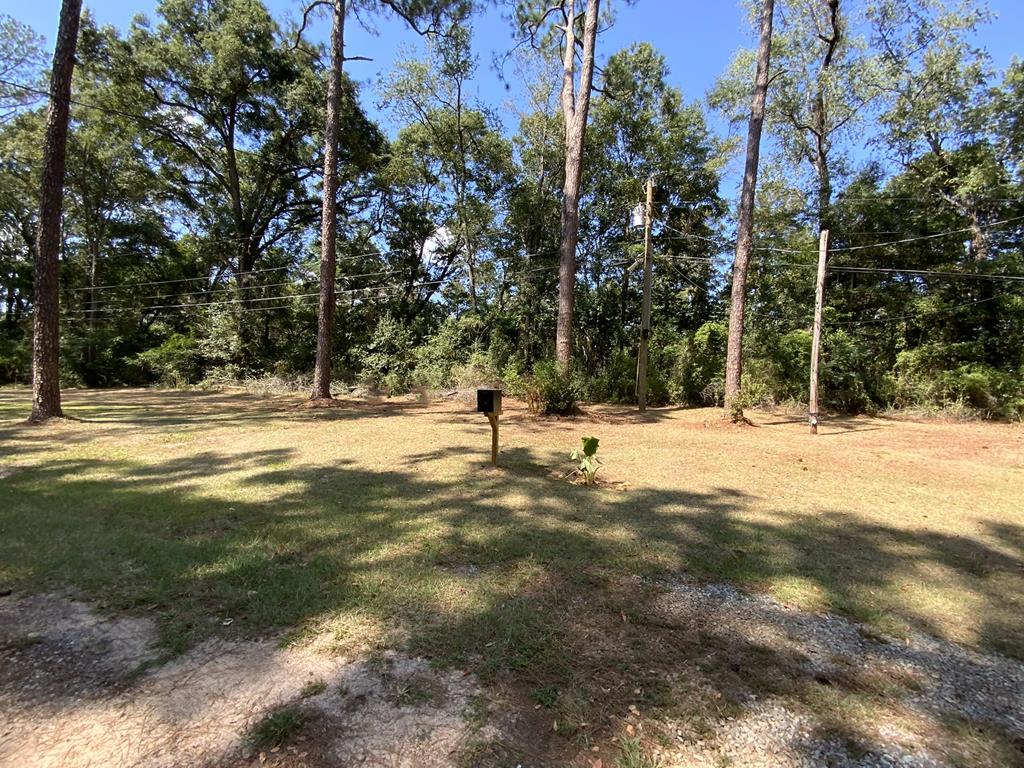 1879 Hall Road Thomasville, GA 31757 - Photo 5 of 10 Gallery Image 5