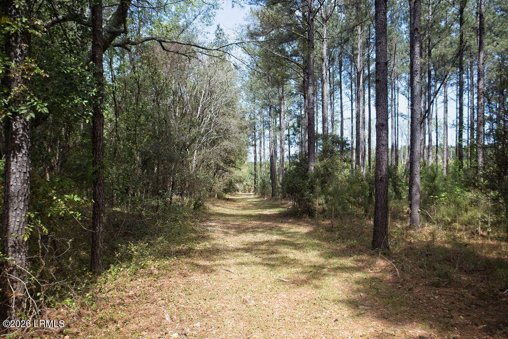 1342 Thomas Hamilton Road Brunson, SC 29911 - Photo 42 of 46 8I1A4724
