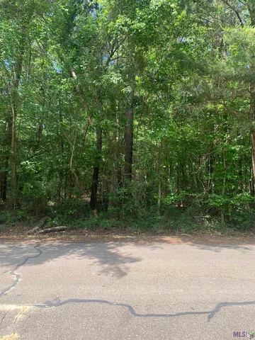 $60,000 | 1.362-acres Winfield Ben, Walker, LA 70785