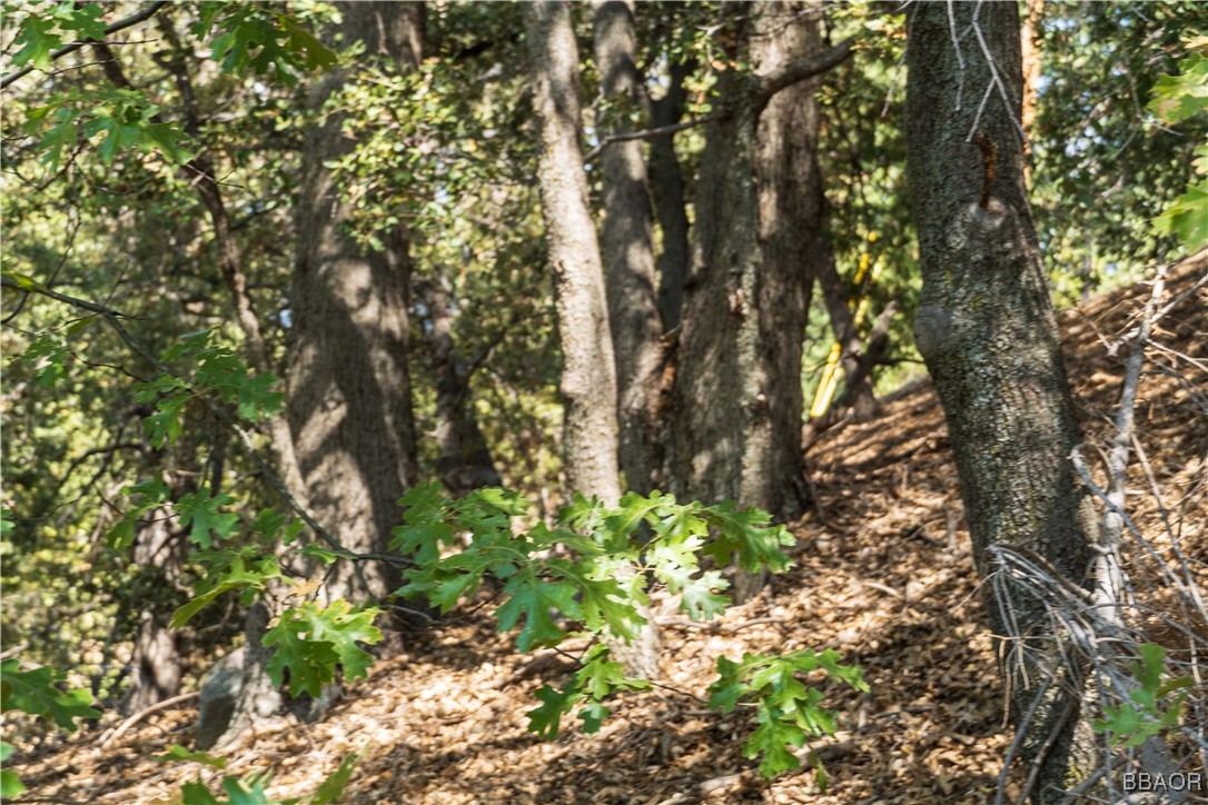 0 Chillon Drive Crestline, CA 92325 - Photo 11 of 17