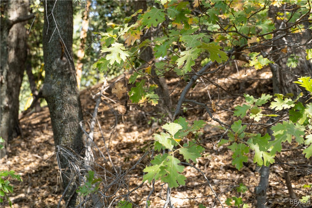 0 Chillon Drive Crestline, CA 92325 - Photo 12 of 17