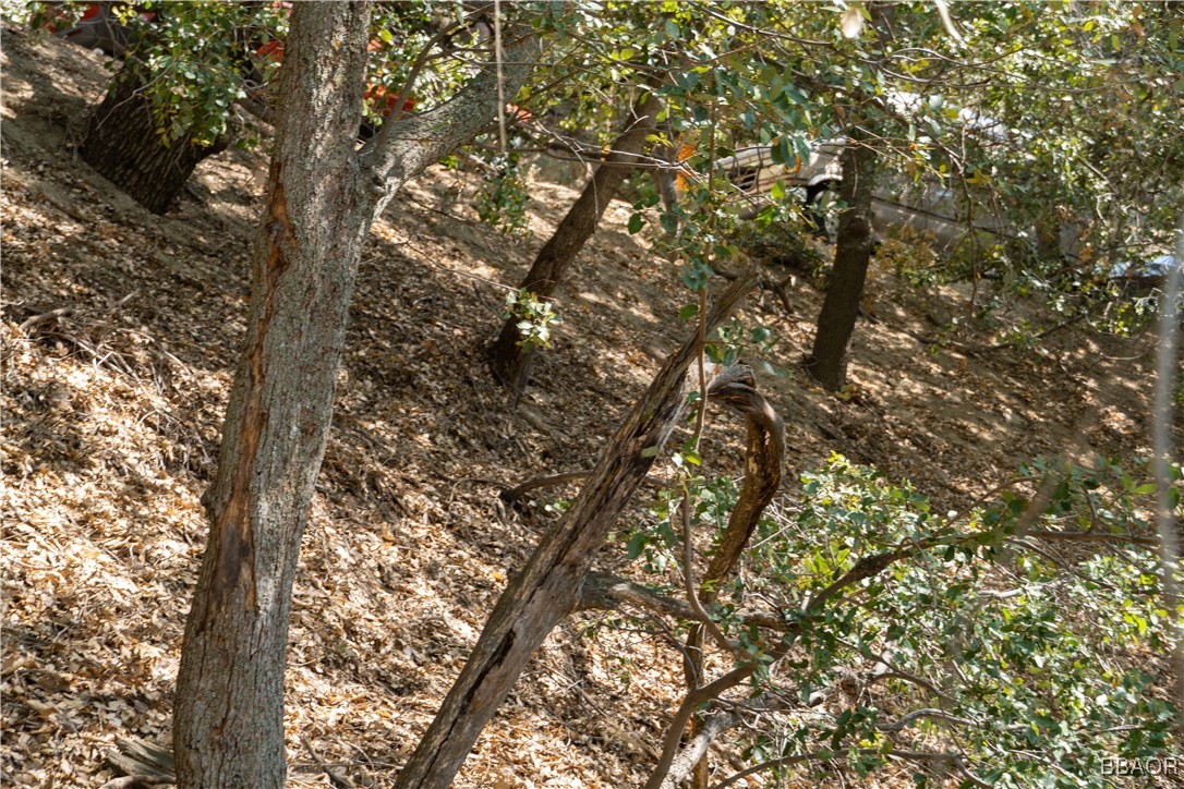 0 Chillon Drive Crestline, CA 92325 - Photo 13 of 17